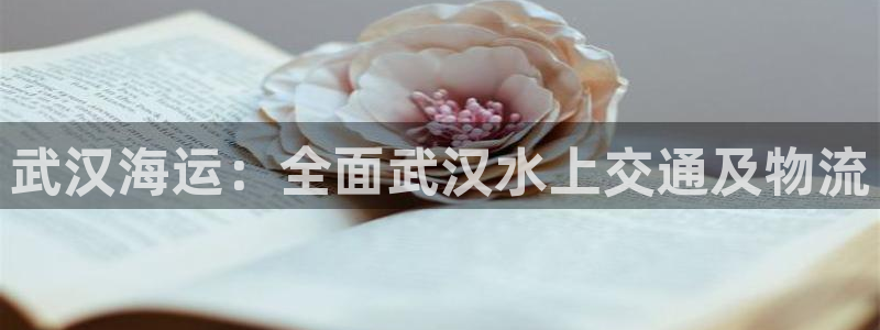 欢迎你来到公主的海岛