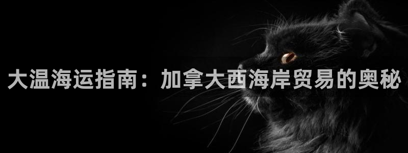 公海赌赌船官网介绍人