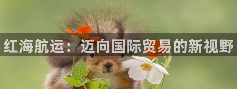 欢迎来到公海电脑版