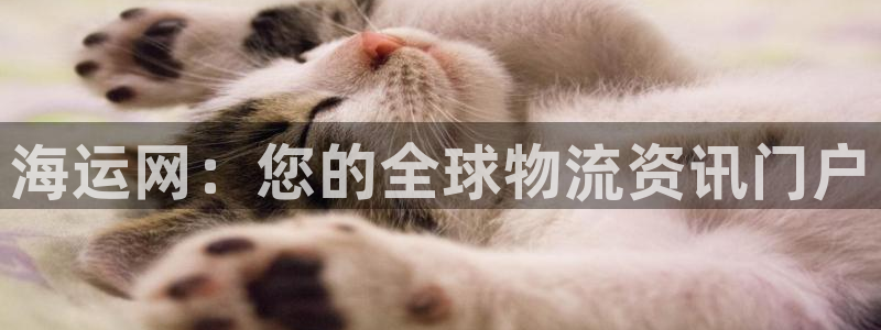 公海赌赌船系统维护要多久