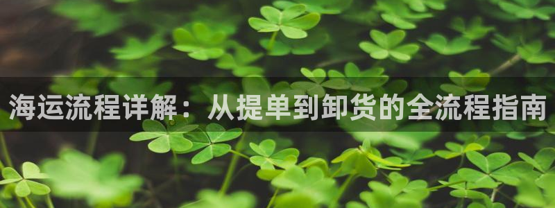 欢迎您来到公海客服