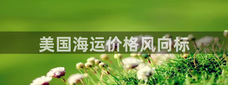 公海赌赌船官网可以做代理吗