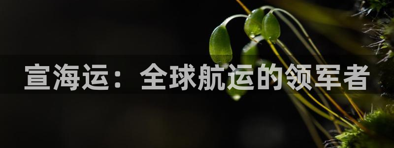欢迎来到公海欢迎来到赌船710