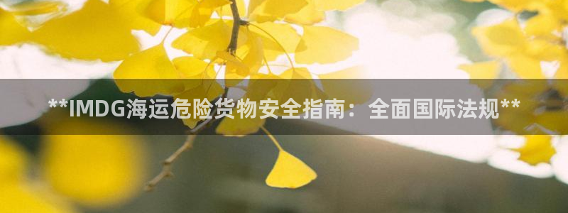 公海赌博怎么处理