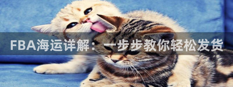 公海赌钱违法吗