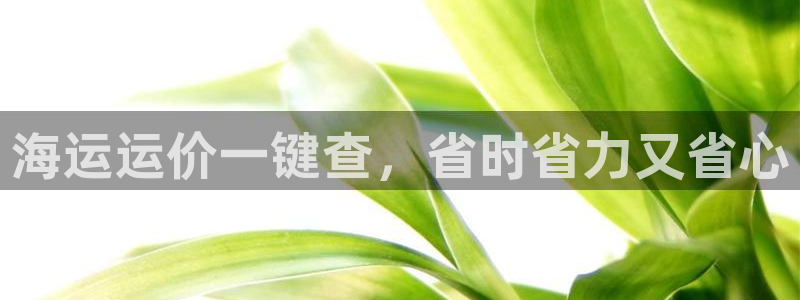 公海赌钱犯法吗