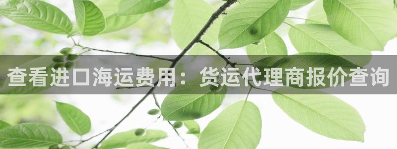 去公海赌博