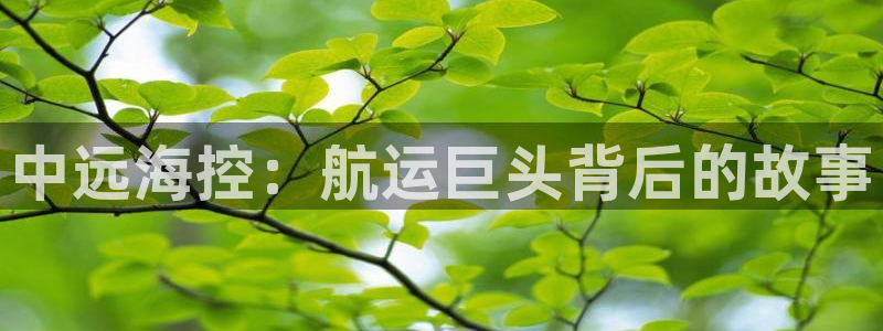 公海赌博是什么意思