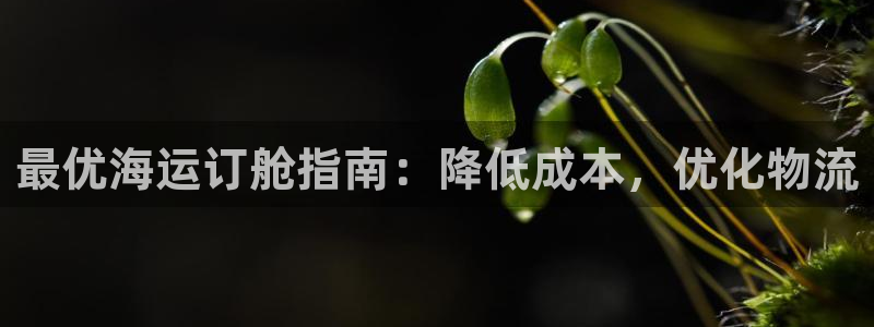 欢迎来到海边