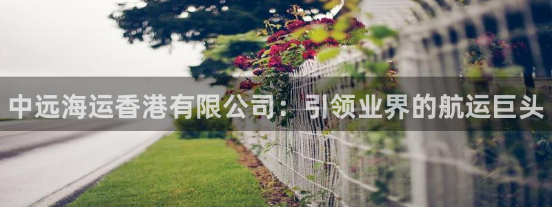 公海赌博为什么不犯法