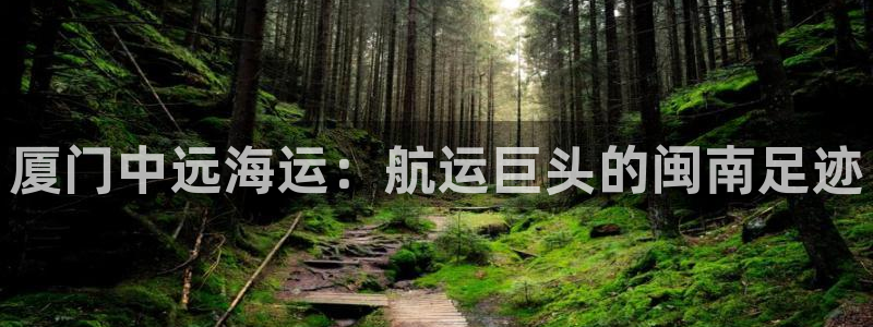 公海赌船吧