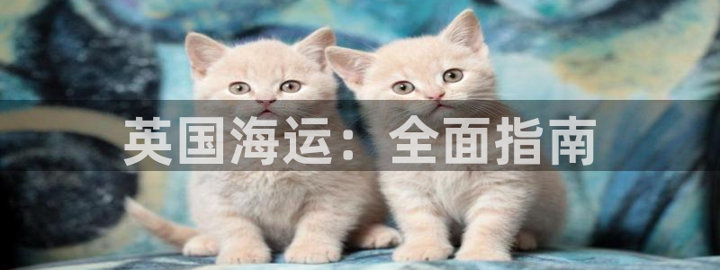 公海赌赌船贵宾会员检测路线