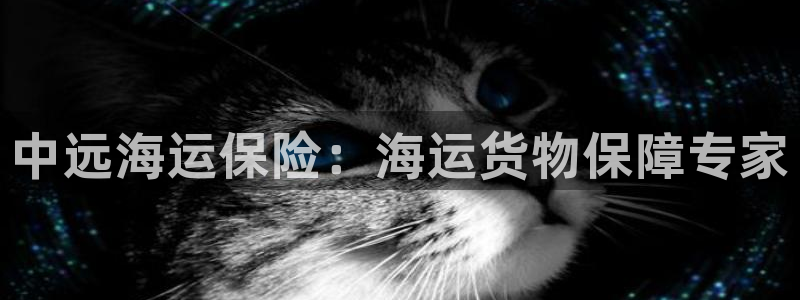 公海赌钱