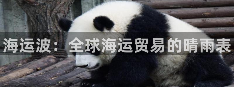 公海赌赌船官网图标