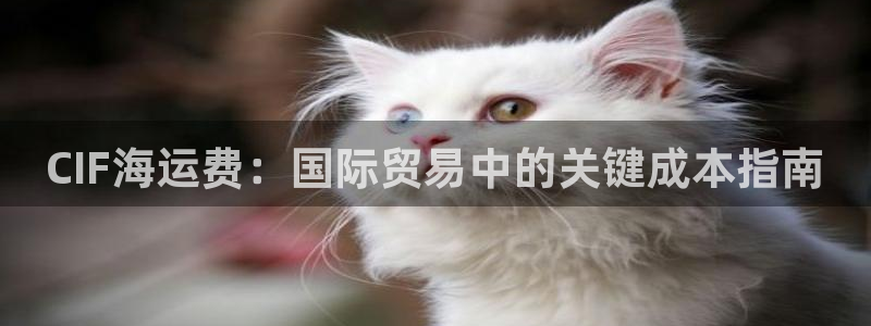 欢迎来到公海710线路是多少
