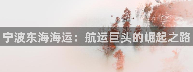 公海赌赌船官网图标