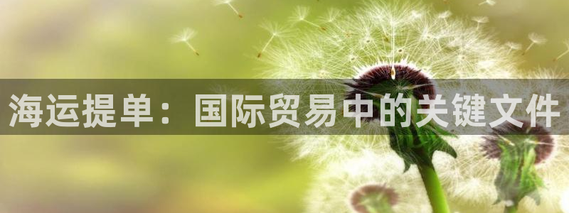 公海赌赌船官网可以做代理吗