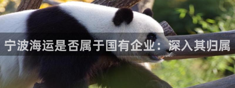 公海赌赌船官网介绍人