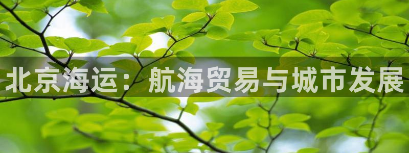 公海赌船官网下载