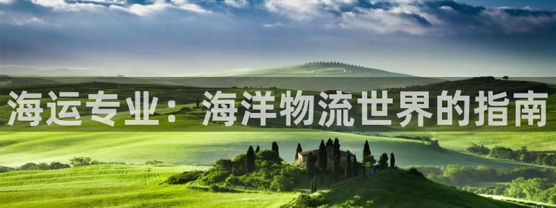 欢迎来到海边