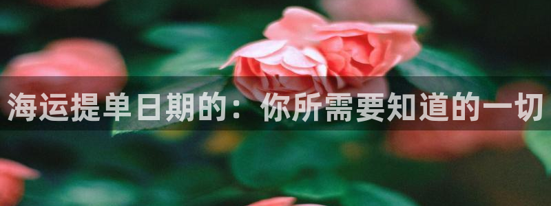 公海赌赌船手机下载