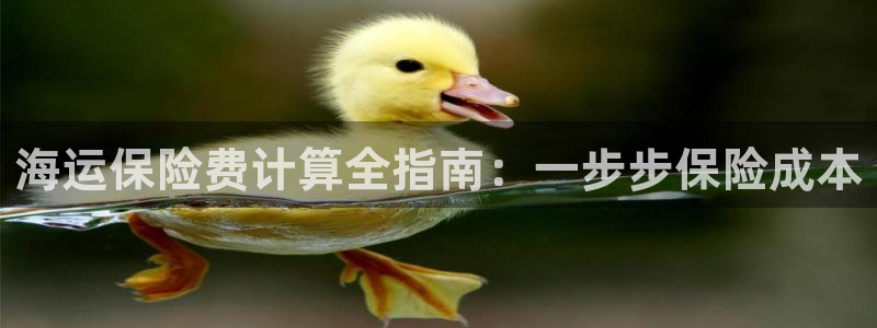欢迎来到海边