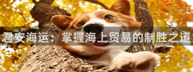 公海赌博是什么意思