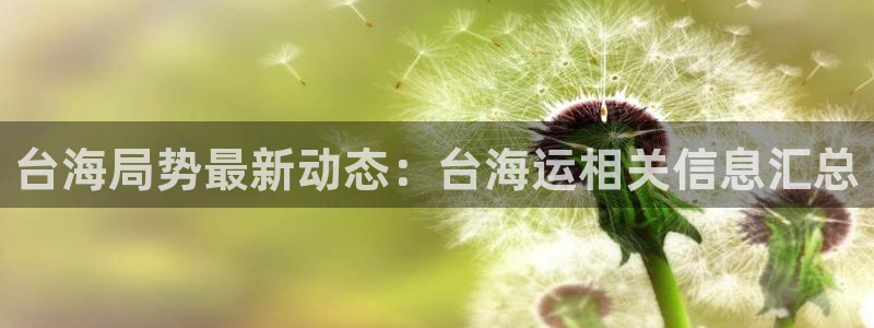 公海赌钱违法吗