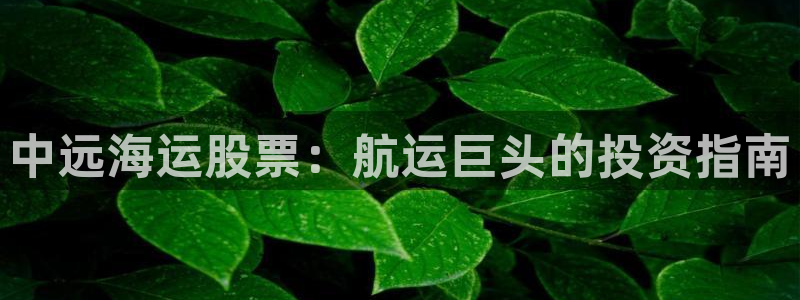 欢迎来到公海欢迎来到