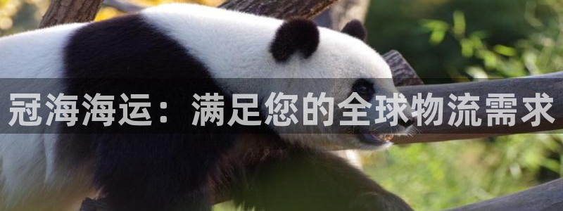 公海赌赌船官网jc710 下载