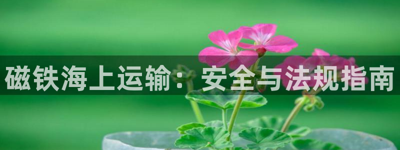 欢迎你来到公主的海岛