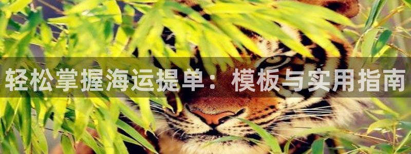 公海赌钱公安会抓吗