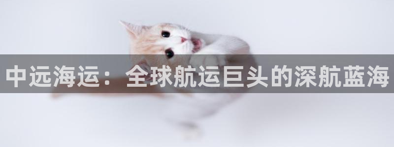 欢迎来到g港