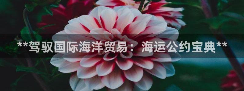 欢迎来到赌船公海710